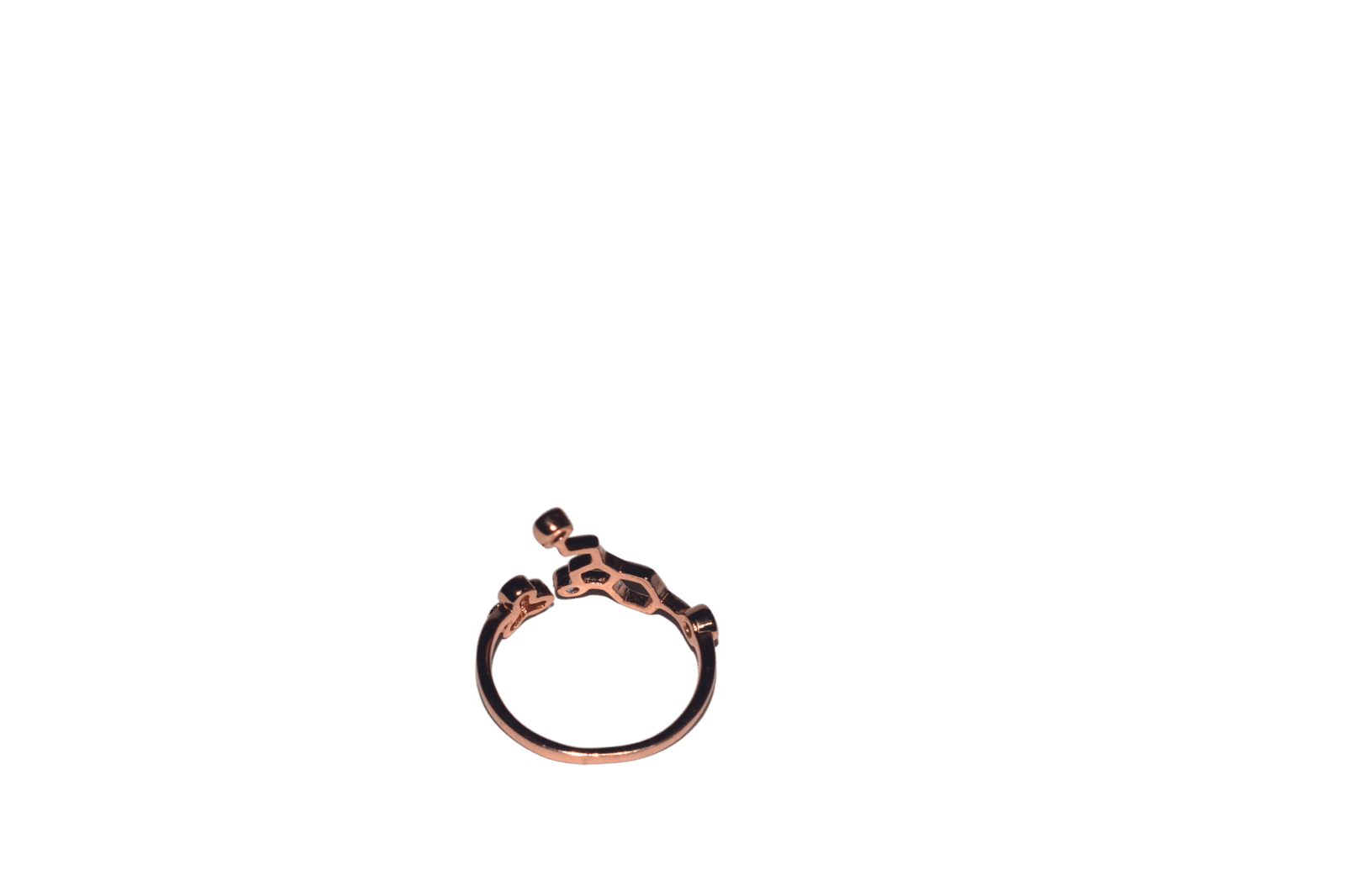 Rose Reverence - Image 2